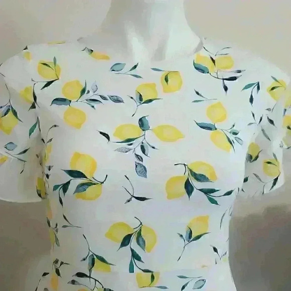 Banana Republic Frill Fit And Flare Lemon Print Dress - Picture 9 of 11